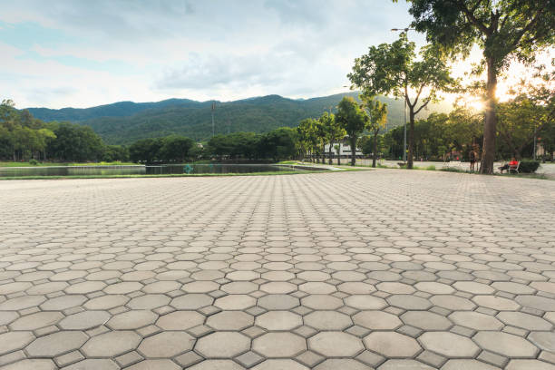 Best Driveway Pavers Near Me  in Gainesville, FL